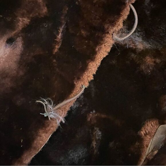 Vintage seal fur coat - Picture 8 of 10